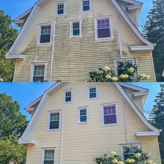 Driveway Pressure Washing Before and After