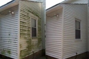 Siding Cleaning Before and After